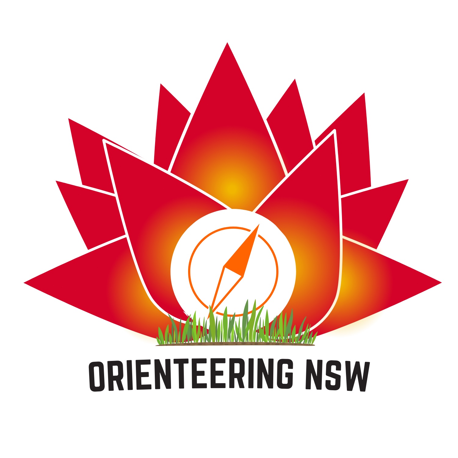 Orienteering NSW logo