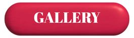 gallery button